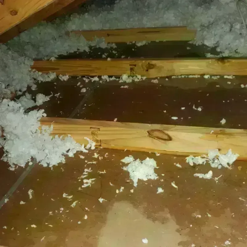 Attic Water Damage in Asotin County, WA