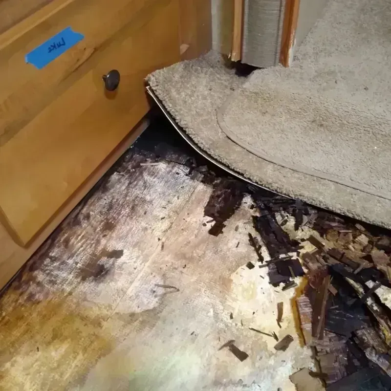 Wood Floor Water Damage in Asotin County, WA